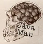 gaujava2