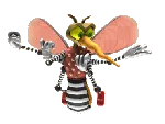 Dcoxas