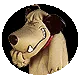 rodrigo_allexandre