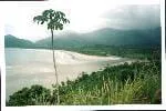adelsus