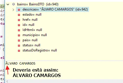 Como chega na aplicação antes de chegar no banco de dados