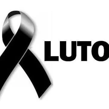 Lucas_Lopes_Steinert