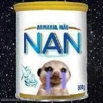 neto_itb10