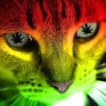 Balaca