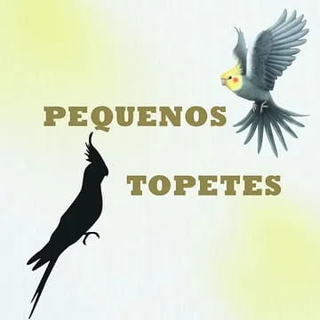 Washington_Almeida_A