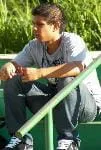 cysnoi