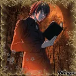 wellingtonamaralleit