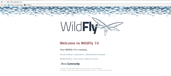 wildfly