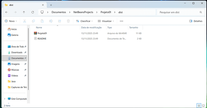 Captura de tela 2025-11-13 235138