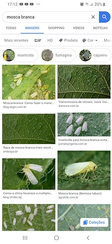 Screenshot_20200222-171230_Chrome