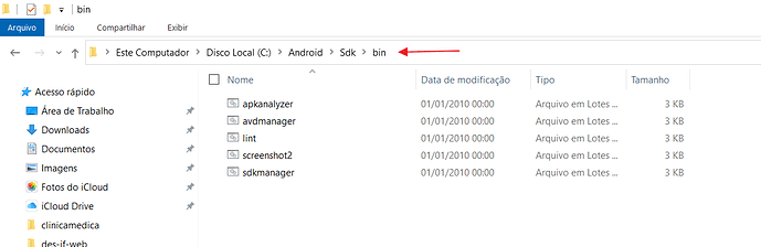 diretorio_novo