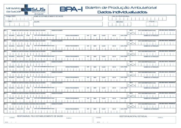 Formulario_BPA_I-1024x724